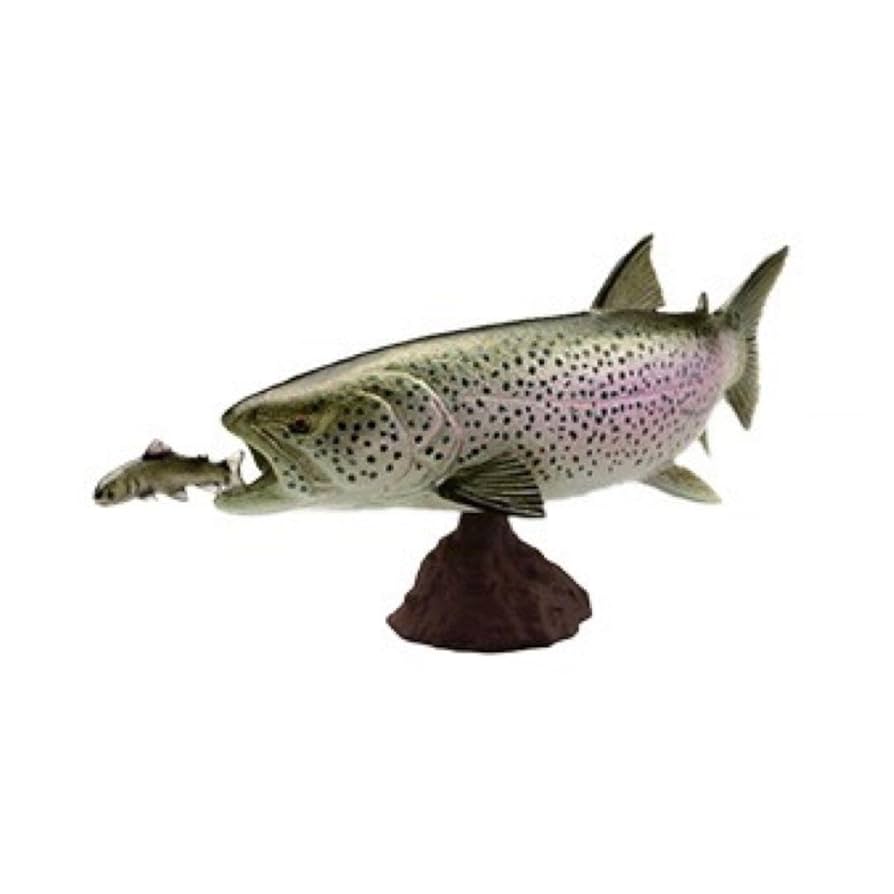 Amazon | 北海道フィギュアみやげ イトウ フィギュア 釣り 魚